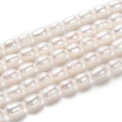 Brins de perles de culture d'eau douce naturelles, riz, bisque, 6~9x4~5mm, Trou: 0.5mm, Environ 45 pcs/chapelet, 14.37 pouce (36.5 cm)