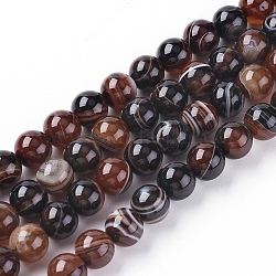 Chapelets de perles en agate à rayures naturelles/agates à bandes, teints et chauffée, ronde, brun coco, 6mm, Trou: 1mm, Environ 63 pcs/chapelet, 14.57 pouce (37 cm)