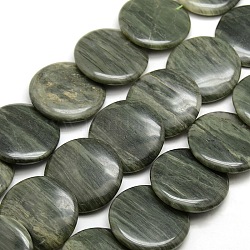 Natural Green Line Jasper Beads Strands, 30x6mm, Hole: 1mm, about 17pcs/strand, 16.5 inch