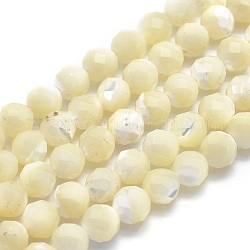 Perles de coquillage blanc naturel, brins de perles en nacre, ronde, facette, 6mm, Trou: 1mm, Environ 69 pcs/chapelet, 15.3 pouce (39 cm)