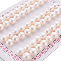Natur kultivierten Süßwasser Perlen, Klasse 3 a, Hälfte gebohrt, Rondell, 8~8.5x6 mm, Bohrung: 0.8 mm, ca. 66 Stück/Platte.