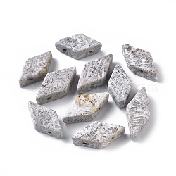 天然化石サンゴマルチ連リンク  菱形  17.5~22x9.5~11.5x5.5~6.5mm  穴：1~1.5mm