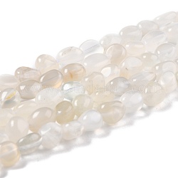 Natürlichen weißen Mondstein Perlen Stränge, Nuggets, getrommelt Stein, 8~11x7.5~9x4.5~7 mm, Bohrung: 0.8 mm, ca. 42 Stk. / Strang, 15.94'' (40.5 cm)