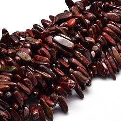Naturelles bréchiques puce de jaspe brins de perles, 8~30x5~12mm, Trou: 1mm, environ 15.3 pouce ~ 15.7 pouces