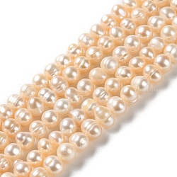 Fili di perle di perle d'acqua dolce coltivate naturali, patata, grado a, bisque, 6~7x6~6.5mm, Foro: 0.6 mm, circa 54~57pcs/filo, 13.39~13.50 pollice (34~34.3 cm)