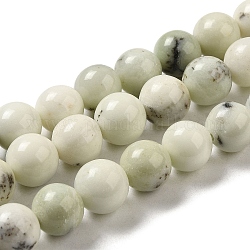 Chapelets de perles de jaspe dendritique naturelle, ronde, 10mm, Trou: 1.5mm, Environ 40 pcs/chapelet, 15.51'' (39.4 cm)