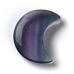 Perle di fluorite naturale, per filo avvolto processo pendente, Senza Buco / undrilled, luna, 30.5x24x7mm