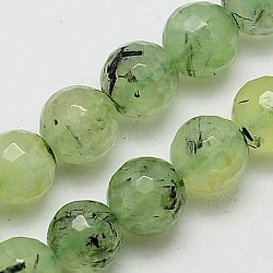 Natural Prehnite Beads Strands, Faceted, Round, Pale Green, 12mm, Hole: 1mm