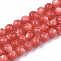 Natürliche weiße Muschel Perlmutt Muschel Perlen Stränge, gefärbt, Runde, Tomate, 7.5x7.5 mm, Bohrung: 1 mm, ca. 51~52 Stk. / Strang, 15.16 Zoll ~ 15.55 Zoll
