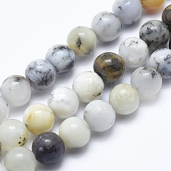 Bianco naturale africano opale perle fili, tondo, 6mm, Foro: 1 mm, circa 61pcs/filo, 15 pollice (38.1 cm)