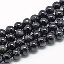 Perles en obsidienne naturelle, ronde, 8~9mm, Trou: 1mm, Environ 45~48 pcs/chapelet, 15.7 pouce