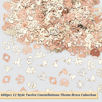 Wholesale OLYCRAFT 600pcs 12 Constellations Fillers Brass Resin Fillers  Golden Zodiac Fillers Epoxy Resin Filler Supplies Flatback Cabochon for  Nail Art Resin Crafting and Jewelry Making 