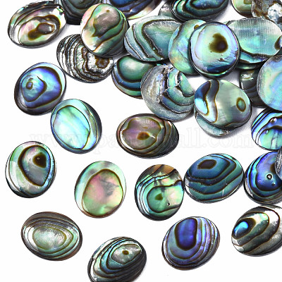 Cabochon di conchiglia abalone naturale / paua shell&nbsp;SSHEL-N034-118-1