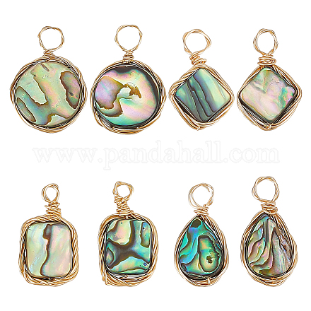 Arricraft 8 pz 4 stili conchiglia di abalone naturale/ciondoli in conchiglia paua FIND-AR0004-22-1