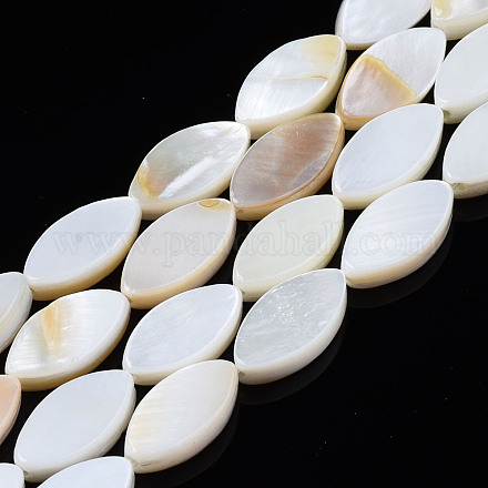 Eau douce naturelle de coquillage perles brins SHEL-Q024A-017-1
