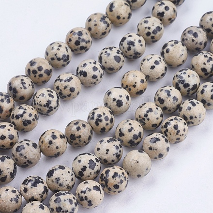 Natural Dalmatian Jasper Stone Bead Strands X-G-R193-14-10mm-1