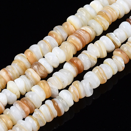 Eau douce naturelle de coquillage perles brins SHEL-S278-067G-1
