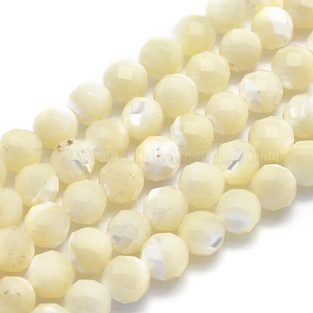 Perles de coquillage blanc naturel G-O171-09-6mm-1
