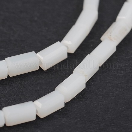 Faceted Rectangle Glass Beads Strands GLAA-J065-B19-1