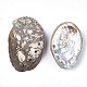 Abalone shell / paua shell beads SSHEL-S258-38-2