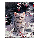 DIY猫のダイヤモンド塗装キット  キャンバス入り  樹脂ラインストーン  ダイヤモンド付箋  トレープレートと接着剤クレイ  猫  カラフル  400x300mm DIAM-PW0001-253B-1