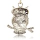 Antique Silver Alloy Rhinestone Owl Pendants for Halloween ALRI-J065-01AS-2