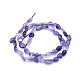 Natural Amethyst Beads Strands G-L550A-05-3
