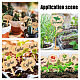 Superfindings 40 pcs 8 styles d'étiquettes de plantes en bambou DIY-FH0002-31-5