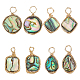 Aricraft 8 pièces 4 styles pendentifs en coquille d'ormeau naturel/coquille de paua FIND-AR0004-22-1