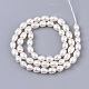 Natural Cultured Freshwater Pearl Beads Strands PEAR-Q015-036A-01-2