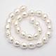 Conchiglia ovale fili di perline perla BSHE-M008-09-2