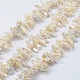 Natural Keshi Pearl Beads Strands PEAR-K004-40-1