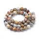 Natural Crazy Agate Beads Strands G-S259-38-8mm-2