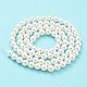 Brins de perles de coquillages naturels galvanisés SHEL-F008-03A-01-3