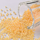 Perline di semi di vetro rotonde di grado 12/0 SEED-N001-B-148-1