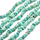 Natural Amazonite Chip Beads Strands G-M205-64A-1