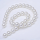 Chapelets de perles en coquille BSHE-R146-10mm-15-1