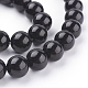 Natural Obsidian Beads Strands X-G-G099-12mm-24-3