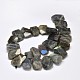 Faceted Nuggets Natural Labradorite Bead Strands G-M297-08-2