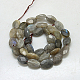 Natural Labradorite Beads Strands G-G214-15x20x7mm-10-2