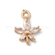 Подвески из латуни и стекла KK-C062-097G
