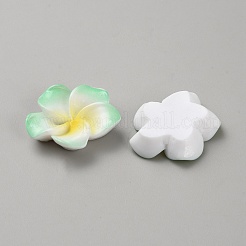 Zwei Ton-Harz-Cabochons&nbsp;RESI-WH20010-01B