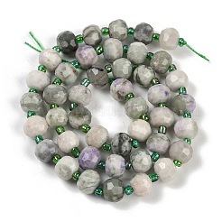 Natürliche Frieden Jade Perlen Stränge&nbsp;G-H057-A10-01