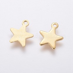 Anhänger aus 304 Edelstahl&nbsp;STAS-L234-069G