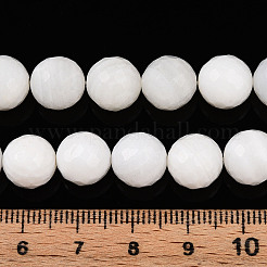 Natürlichen weißen Muschelperlen Stränge&nbsp;G-T141-21