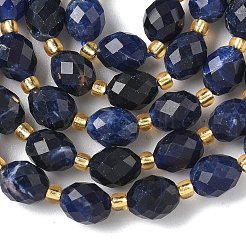 Perline sodalite naturale fili&nbsp;G-F809-A19-01B