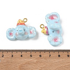 Handmade Fimo Anhänger&nbsp;PY-CBABDB7-06B