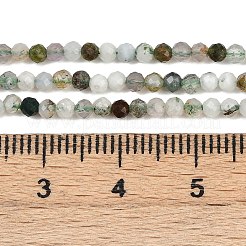 Natur Moos Achat Perlen Stränge&nbsp;G-RM2025-A33-2mm