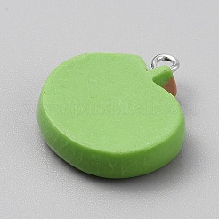 Pendentifs en résine opaque&nbsp;RESI-CJC0029-001C-01
