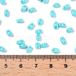 Perle di vetro per la cottura di vernici&nbsp;SEED-T006-03H
